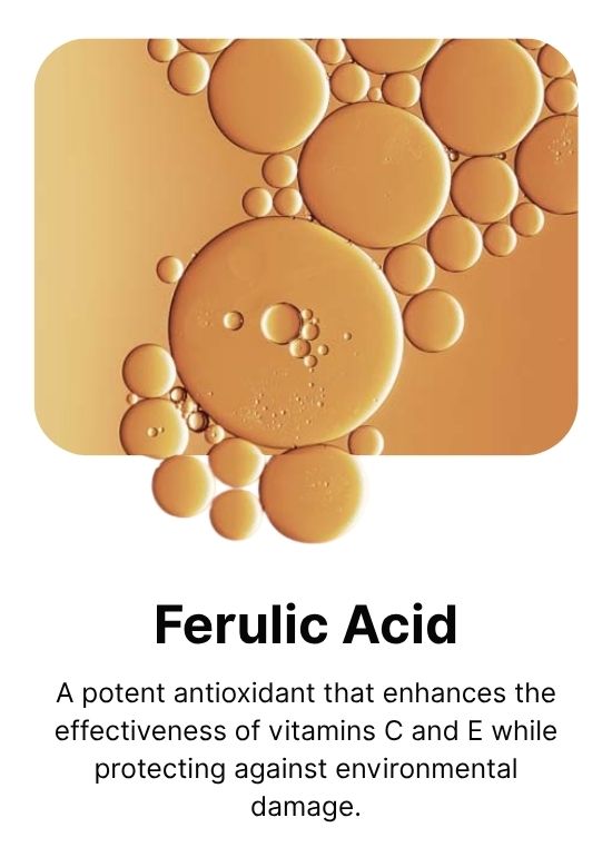 ferulic