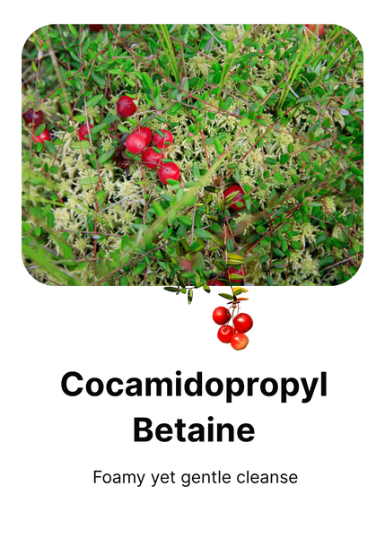 cocamidopyl