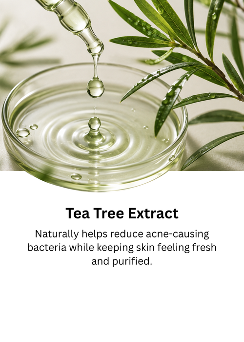 Oil + Acne Face wash 100ml Ingredient 1