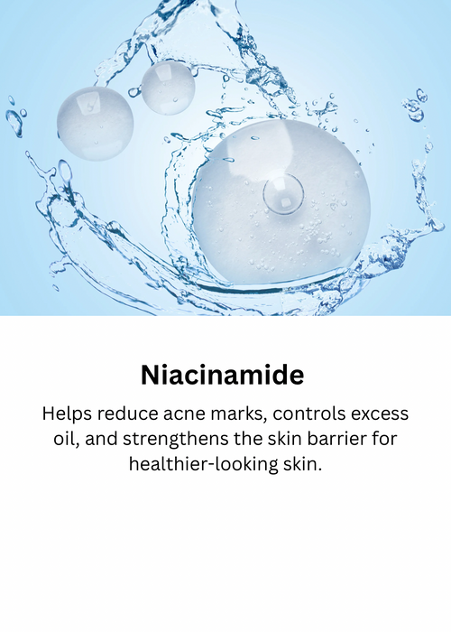 Pollution Defence + Barrier Protect Face Wash Ingredient 2
